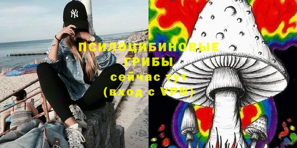 гашик Лагань
