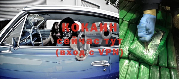 дмт Ладушкин