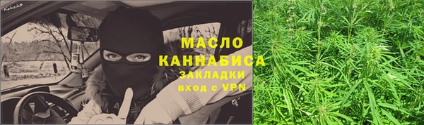 дмт Ладушкин