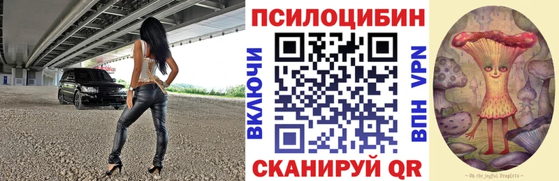 купить наркоту  Мглин  нарко площадка как зайти  Галлюциногенные грибы мухоморы 